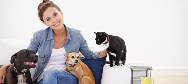 Trusted Pet Grooming Services and Best Pet Groomers in Chisholm Crossing