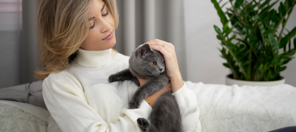 Top Cat Grooming Services and Cat Groomers in Meadowcreek Estate